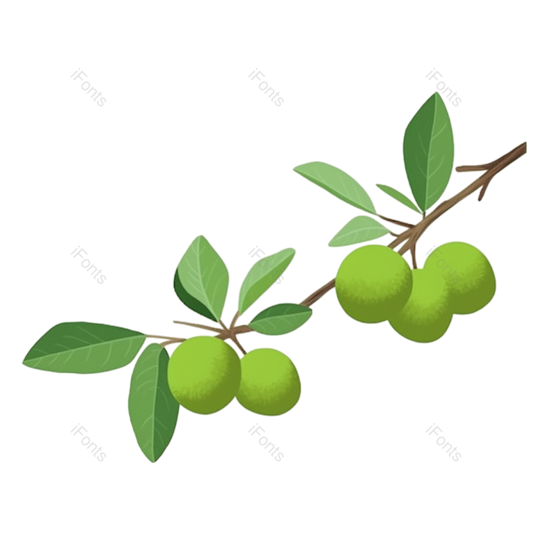 叶子图片,芒种元素,树叶PNG,绿色免抠素材